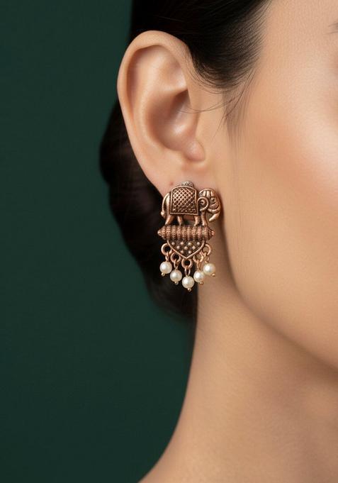 Copper Stainless Earrings