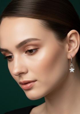 Silver Stainless Earrings