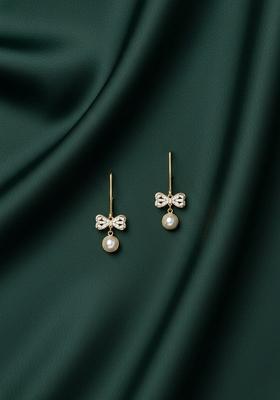 Silver Stainless Earrings