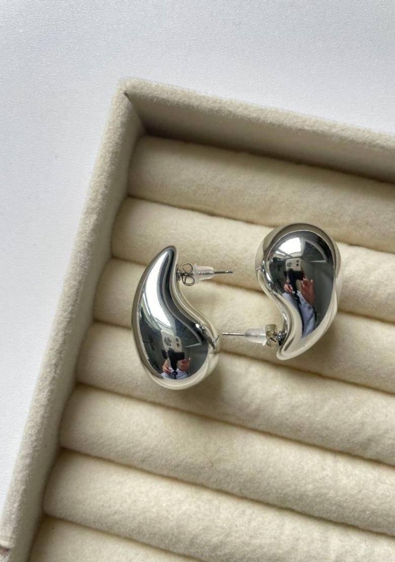 Silver Alloy Earrings - Indya