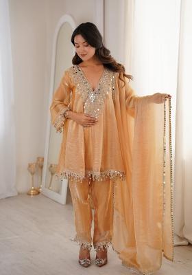 Brown Embroidery Tissue Kurta Set