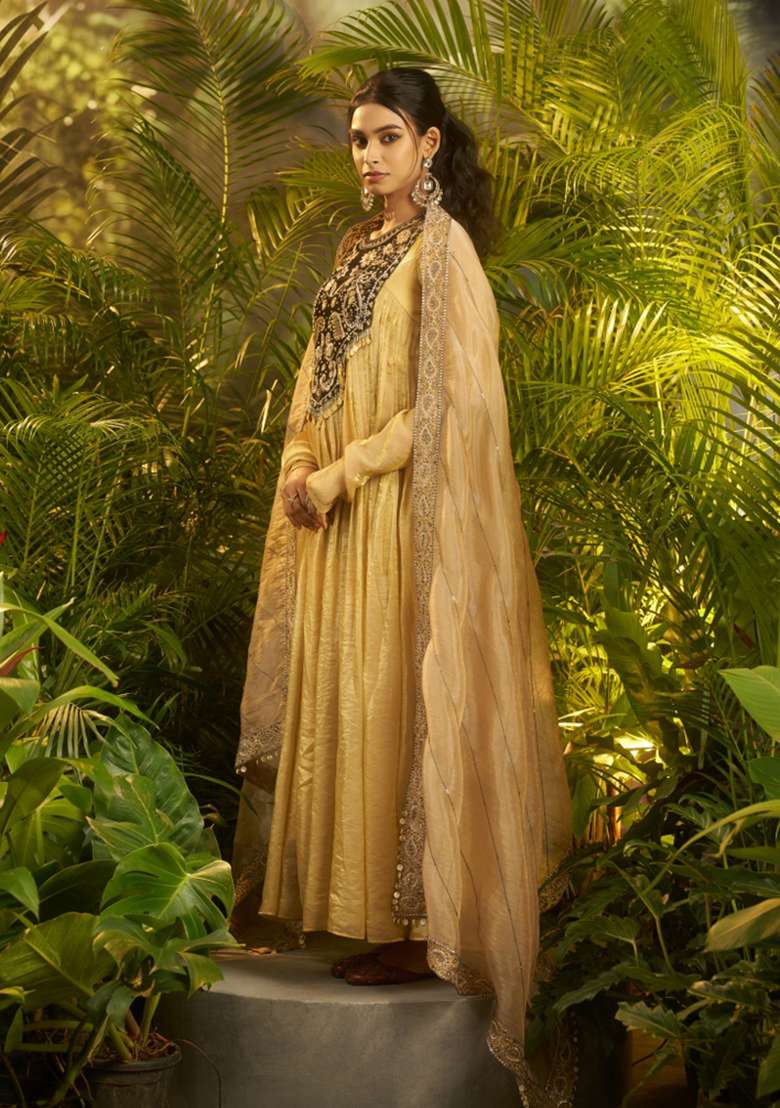 Beige Hand Work Organza Gown Set - Indya