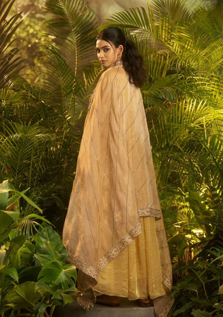 Beige Hand Work Organza Gown With Dupatta - Indya
