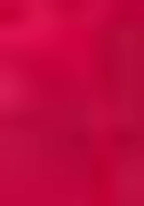 Ruby Zari Embroidered Art Silk Anarkali Set