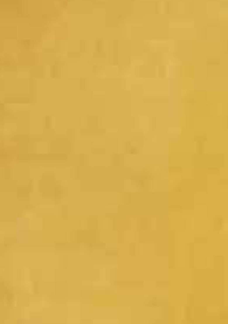 Yellow Embroidered Organza Pakistani Suit Set - Indya