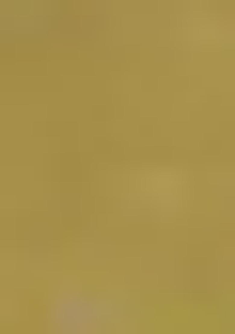 Mehandi Sequins Embroidered Georgette Kurta Set