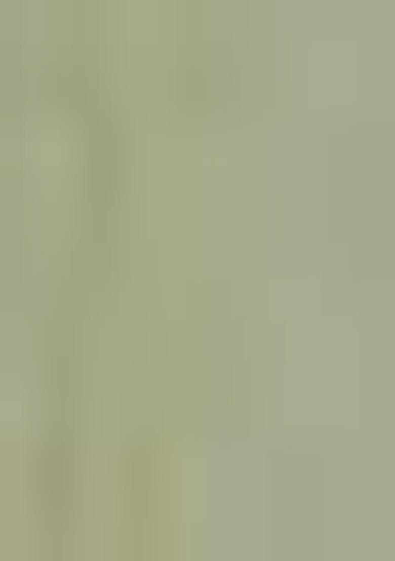 Pista Green Sequin Embroidered Georgette Sharara Set