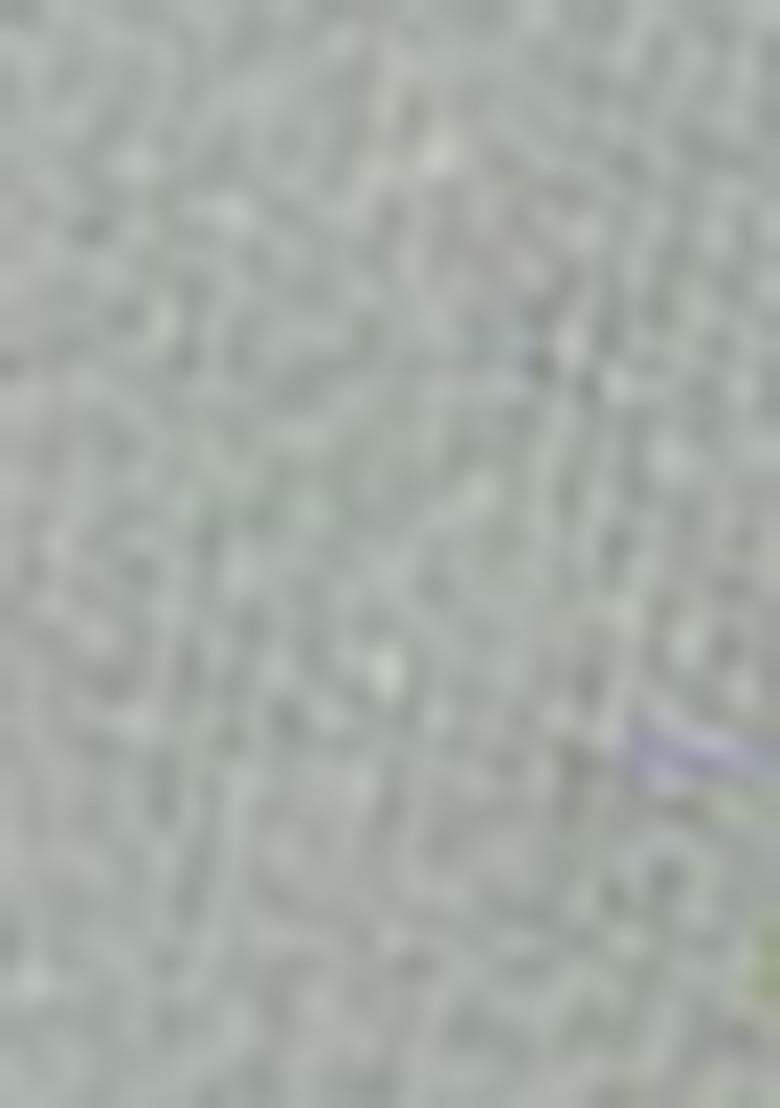 Pista Green Mirror Embroidered Net Gown Set