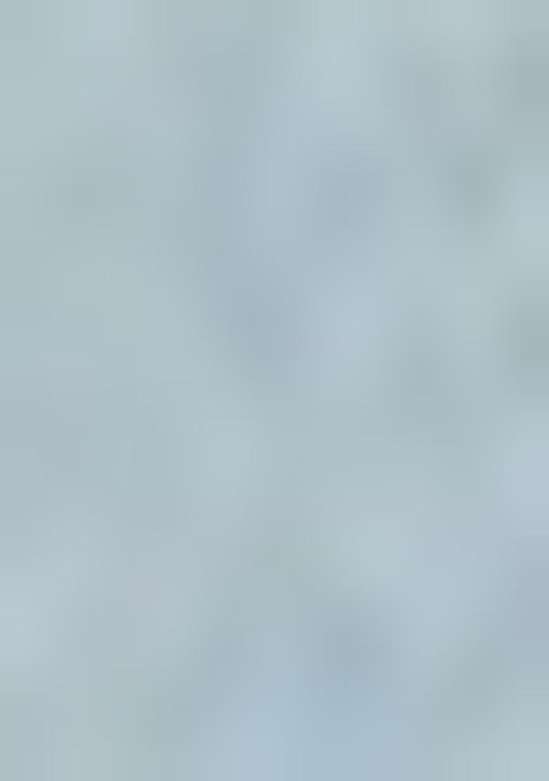 Sky Blue Mirror Embroidered Net Gown Set