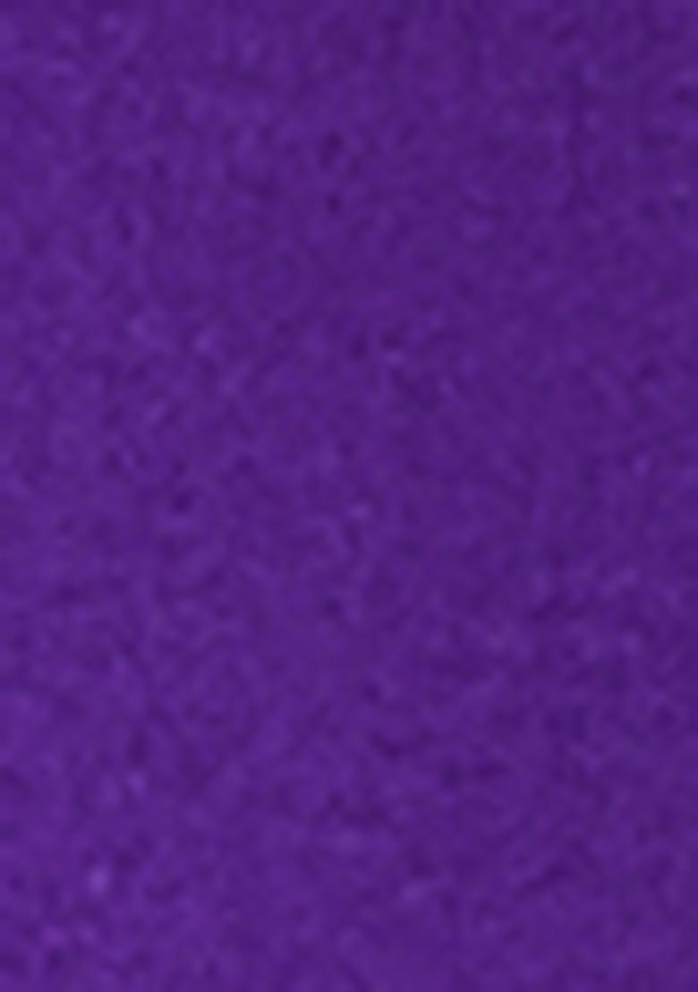 Violet Embroidered Georgette Gown Set