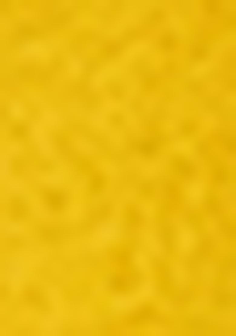 Mustard Yellow Embroidered Georgette Gown Set