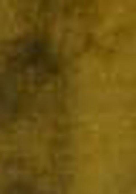 Dark Green Printed Muslin Anarkali Set