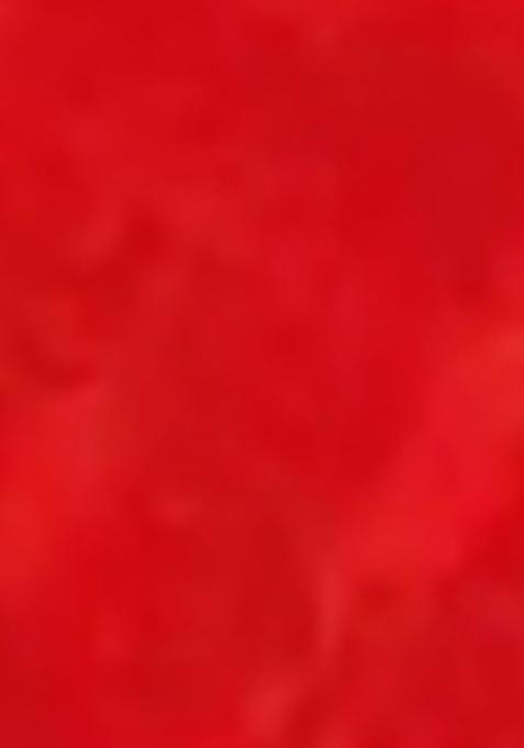 Red Printed Rayon Gown Set