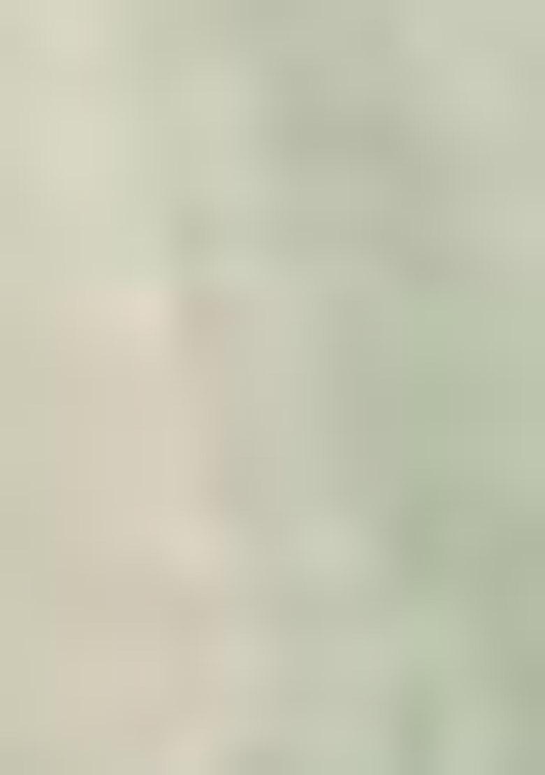 Pista Green Embroidered Cotton Kurta Set