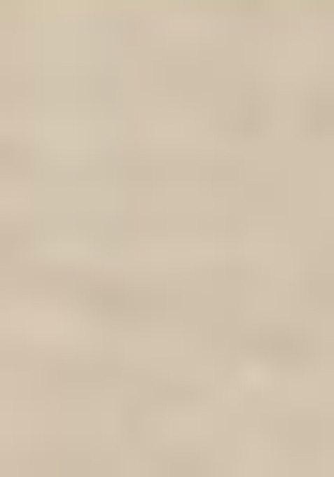 White Embroidered Cotton Sharara Set