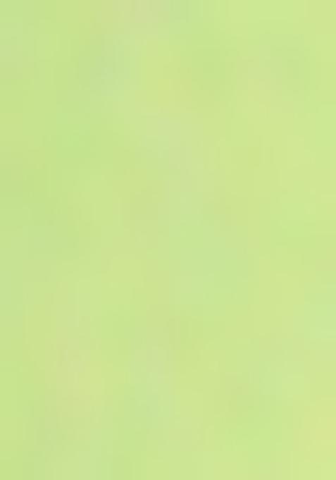 Olive Green Sequin Embroidered Georgette Kurta