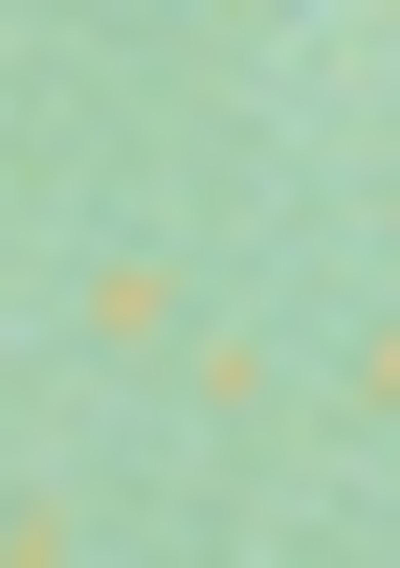 Green Sequin Embroidered Georgette Kurta With Dupatta