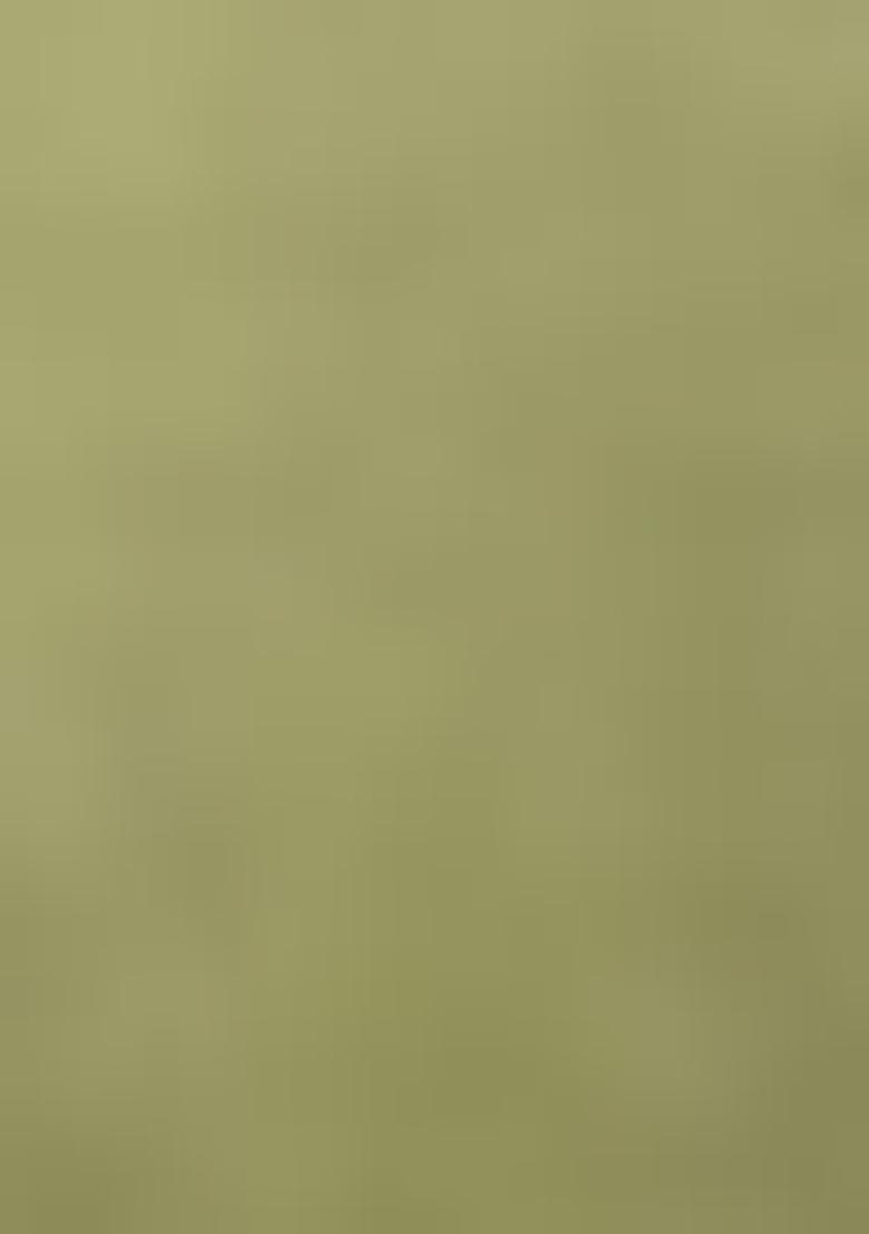 Light Green Sequin Embroidered Silk Kurta Set