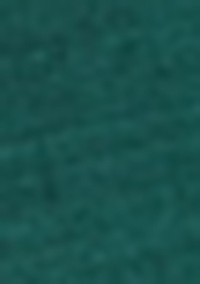 Green Sequin Embroidered Silk Kurta With Dupatta