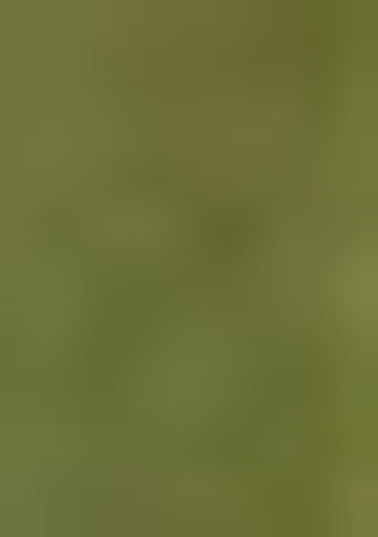 Green Embroidered Cotton Kurta set