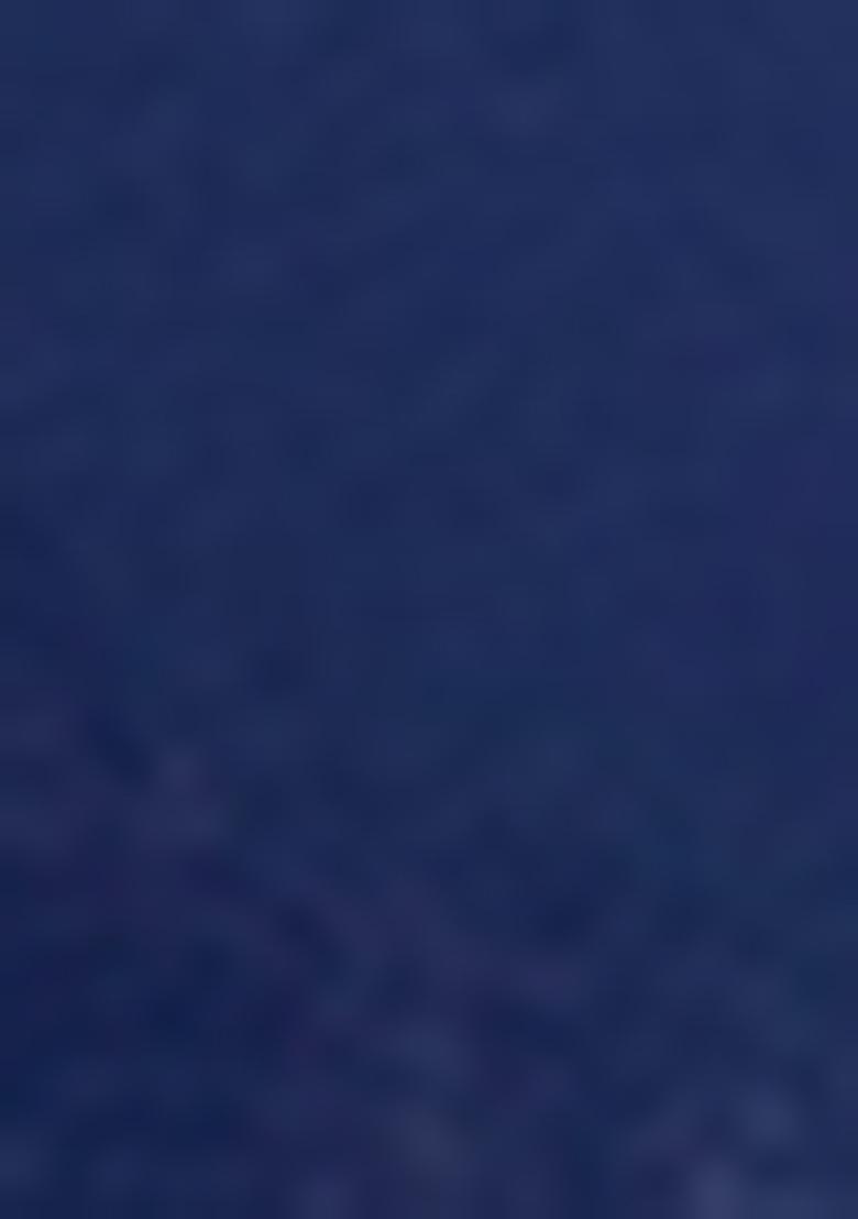 Navy Blue Foil Print Silk Kurta set