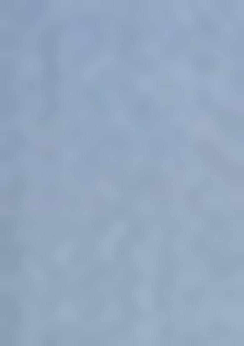 Sky Blue Foil Print Silk Kurta set