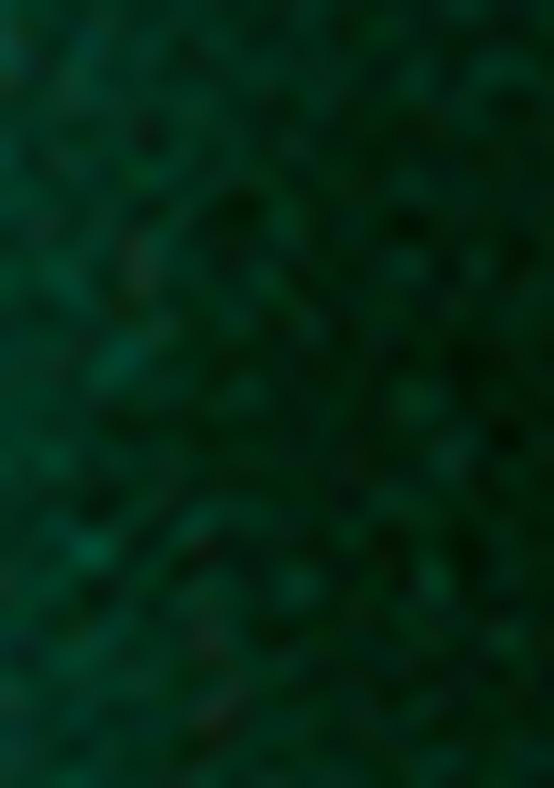 Green Zari Embroidered Silk Kurta Set