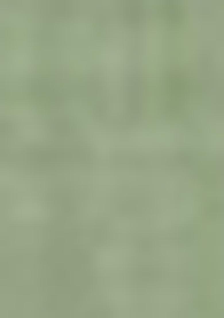 Green Zari Embroidered Cotton Kurta Set