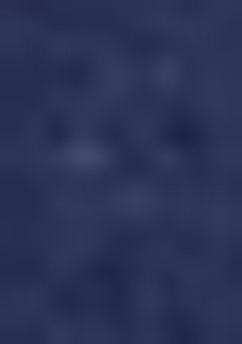 Blue Embroidered Cotton Kurta Set