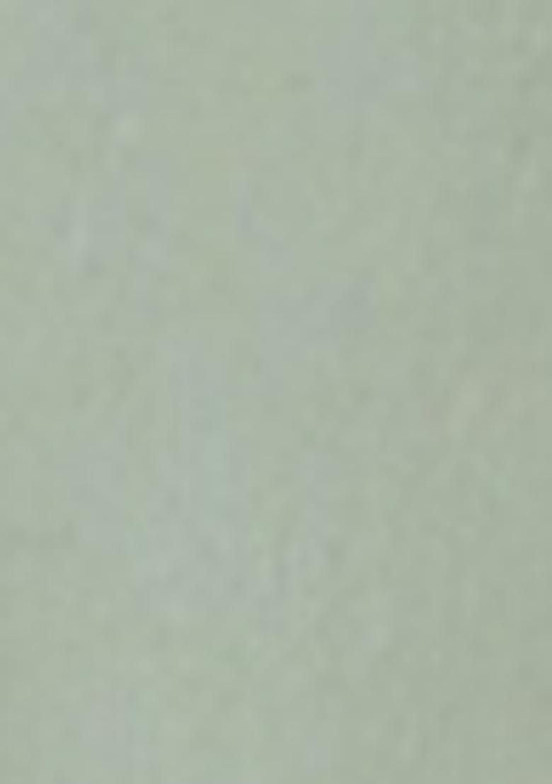 Pista Green Solid Chanderi Kurta Set