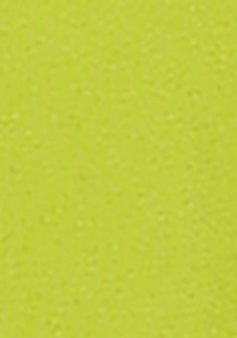 Light Green Embroidered Georgette Kurta Set