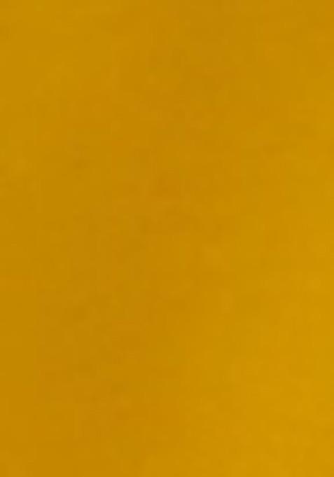 Yellow Solid Georgette Lehenga Set