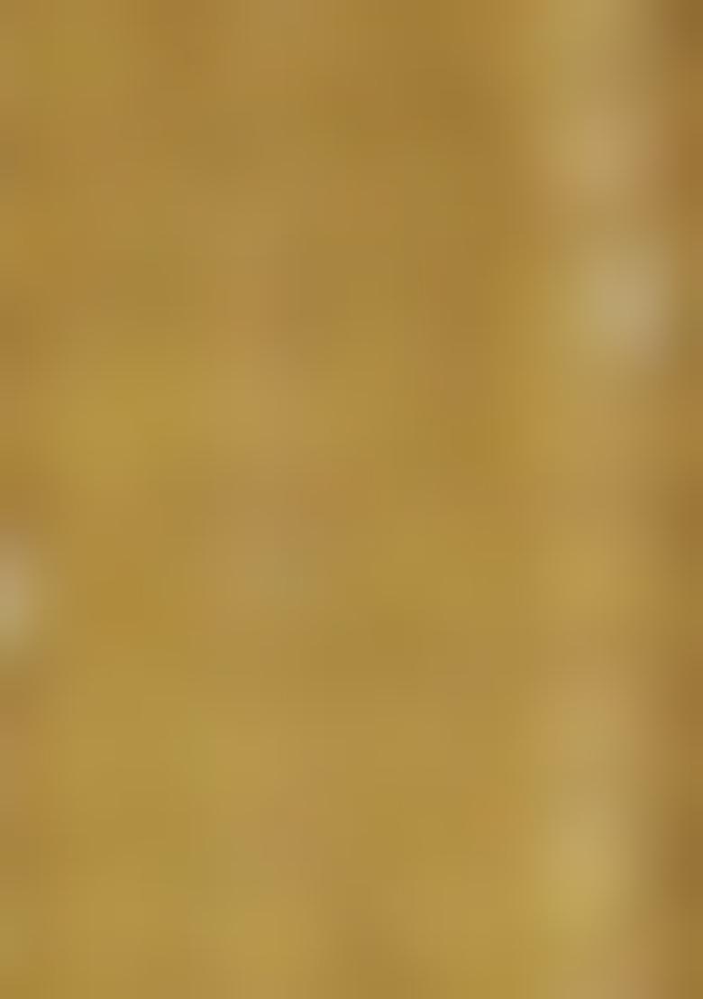 Olive Green Embroidered Muslin Salwar Kameez