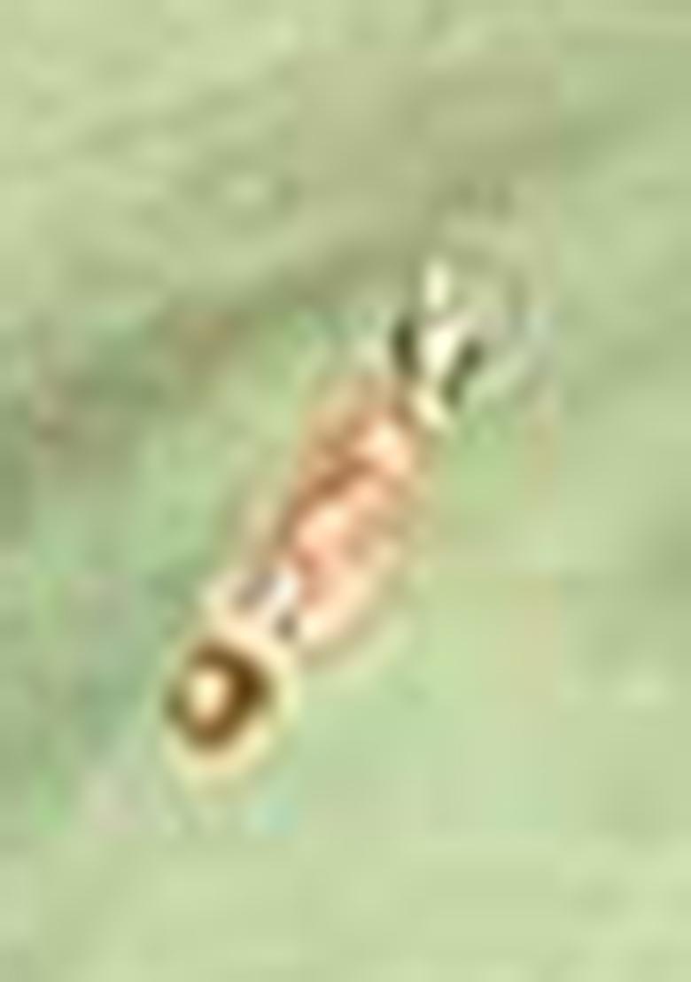 Pista Green Embroidered Georgette Salwar Kameez