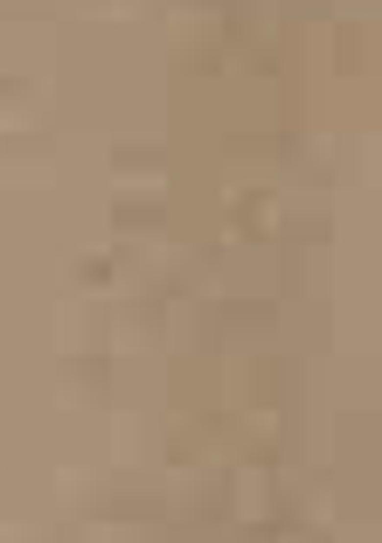 Beige Embroidered Organza Salwar Kameez