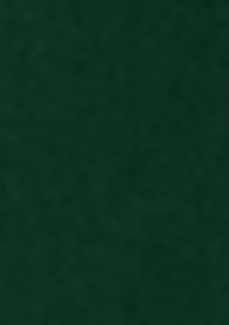 Green Embroidered Silk Kurta Set