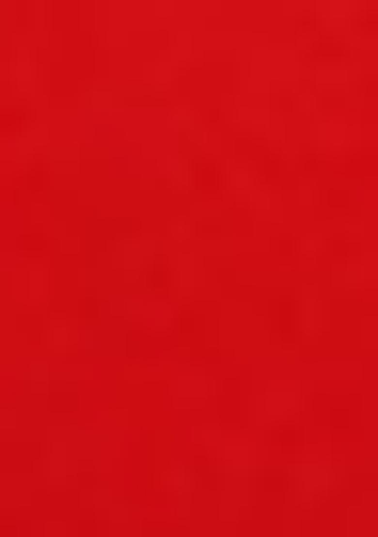 Red Digital Print Chiffon Anarkali Set