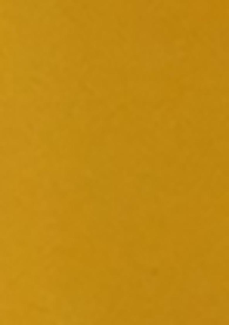 Yellow Printed Faux Georgette Anarkali Set