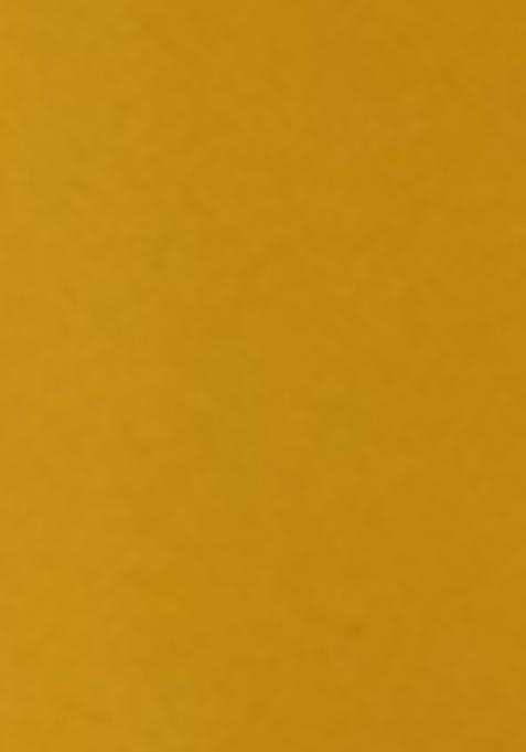 Yellow Printed Faux Georgette Anarkali Set