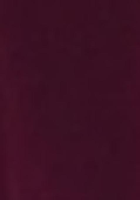 Wine Sequin Embroidered Chinon Anarkali Set