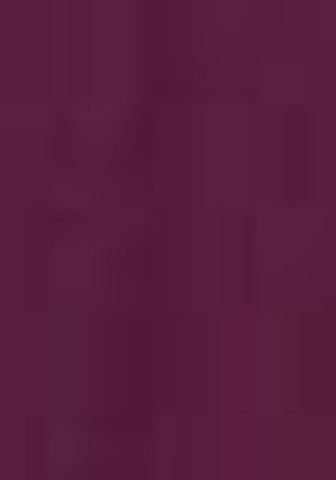 Wine Sequin Embroidered Georgette Anarkali Set