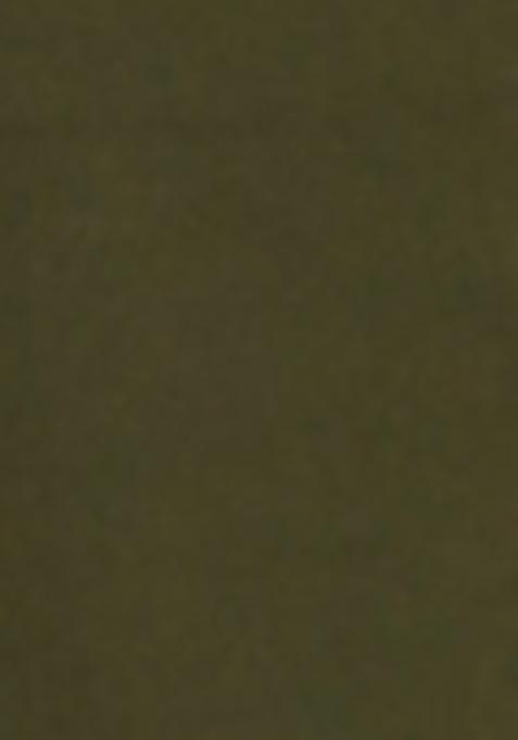 Mehandi Embroidered Silk Kurta Set