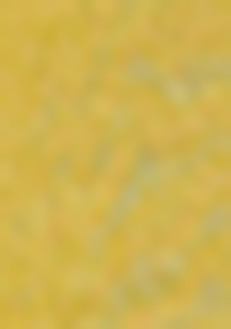 Light Yellow Embroidered Silk Kurta Set