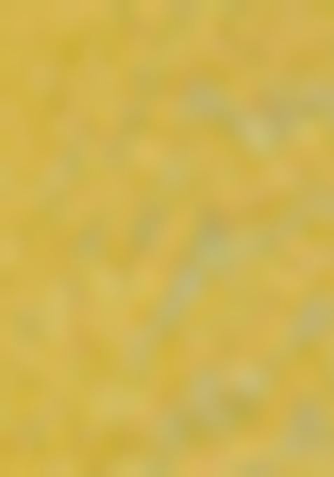 Light Yellow Embroidered Silk Kurta Set