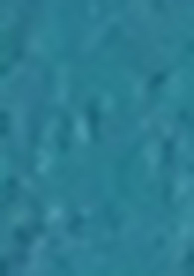 Green Sequins Embroidered chiffon Kurta Set