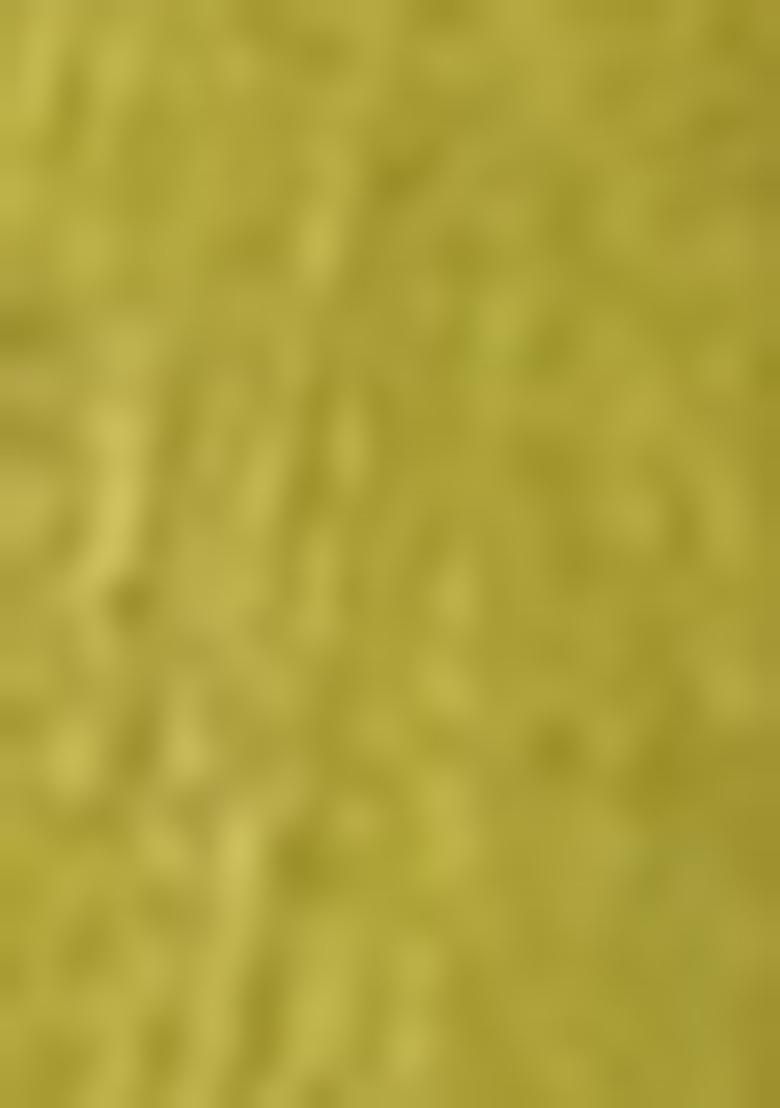 Green Sequins Embroidered chiffon Kurta Set