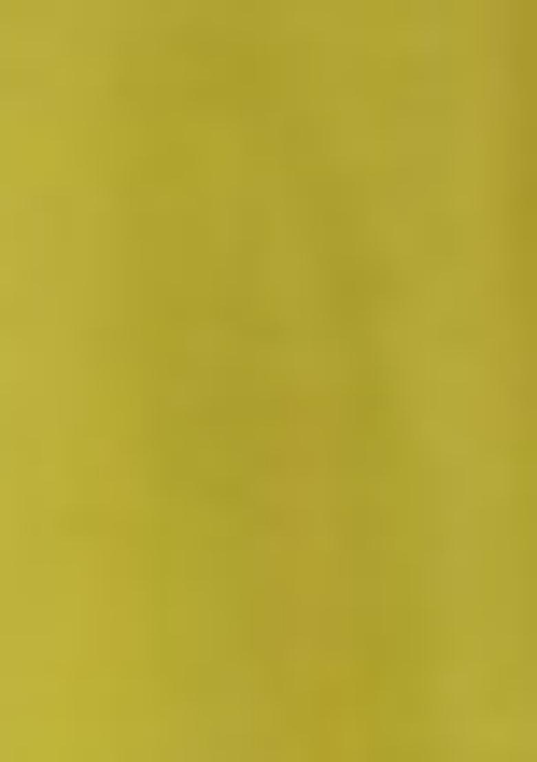 Yellow Embroidered Viscose Kurta Set