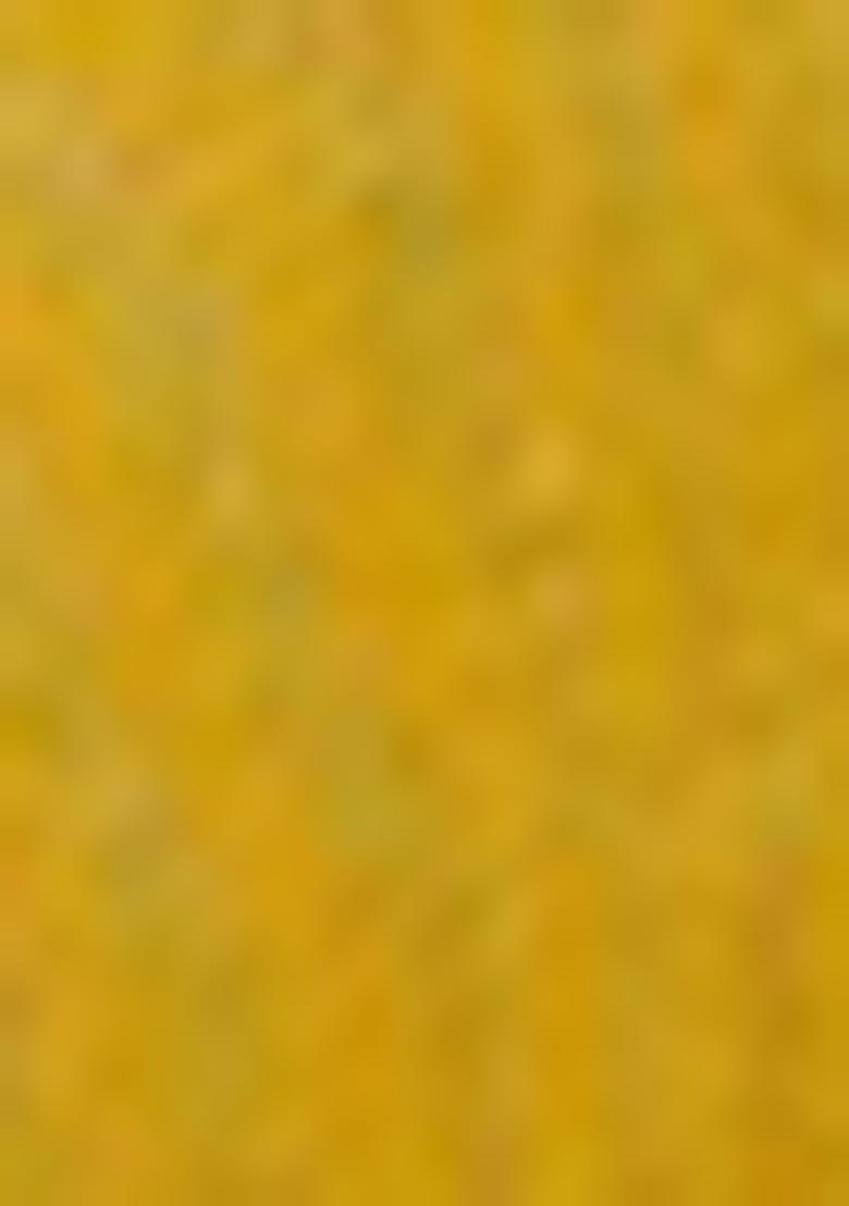 Mustard Yellow Embroidered Silk Kurta Set