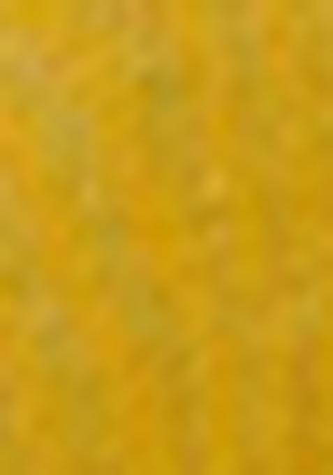 Mustard Yellow Embroidered Silk Kurta Set