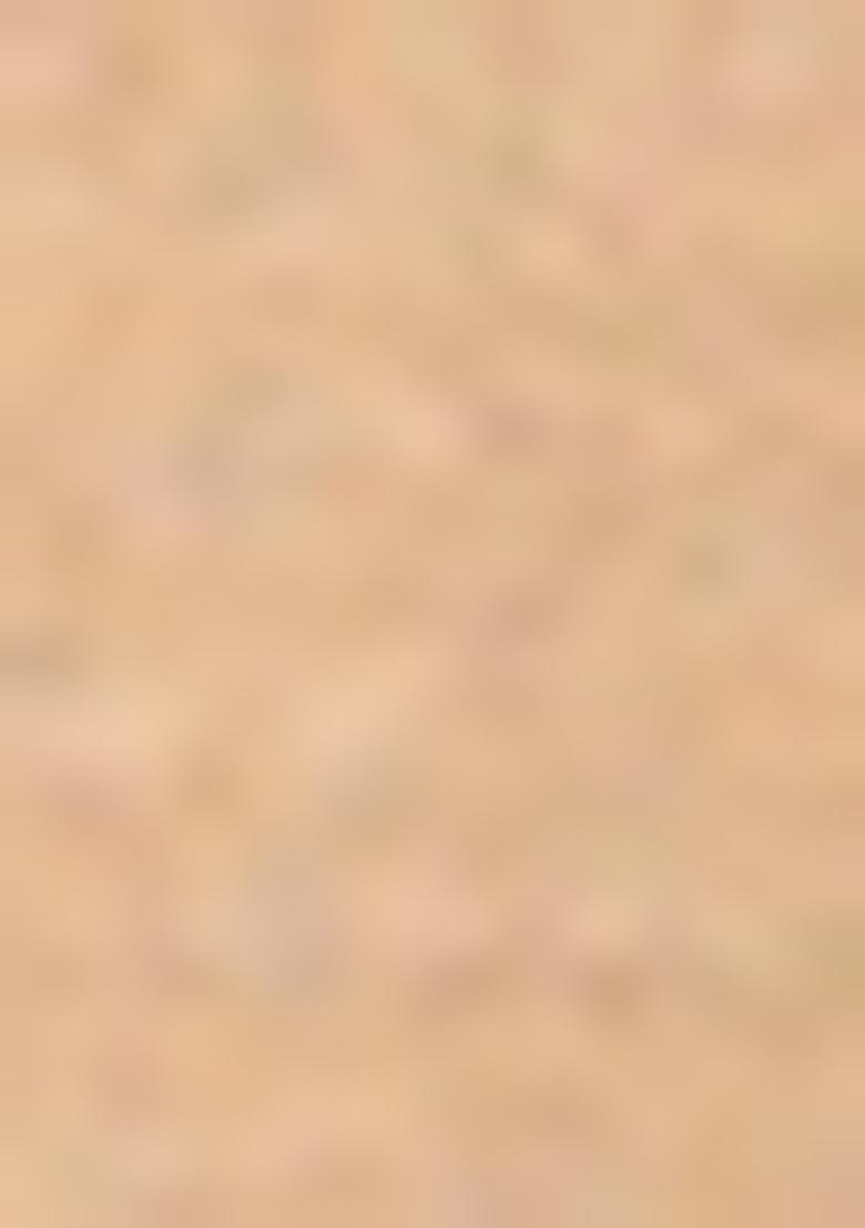 Beige Embroidered Cotton Kurta Set